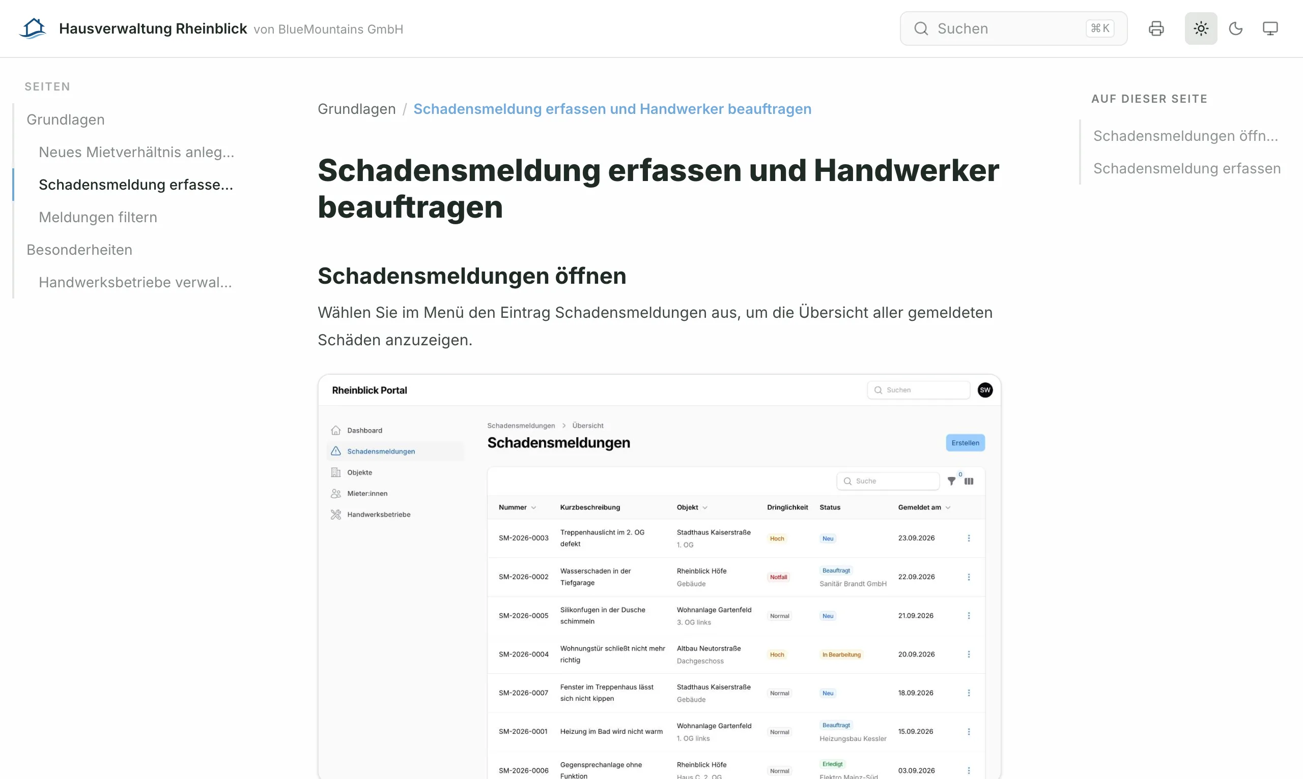 Leseportal „Hausverwaltung Rheinblick von BlueMountains GmbH“ im blauen Look der Hausverwaltung: die Seite „Schadensmeldung erfassen und Handwerker beauftragen“ mit Schritt-Anleitung